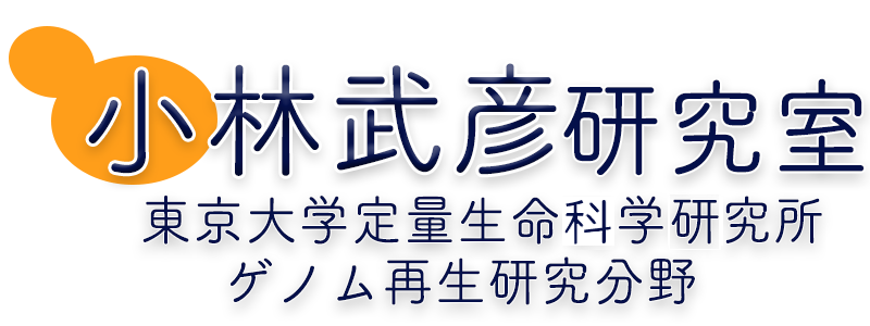 小林武彦研究室 東京大学定量生命科学研究所 ゲノム再生研究分野